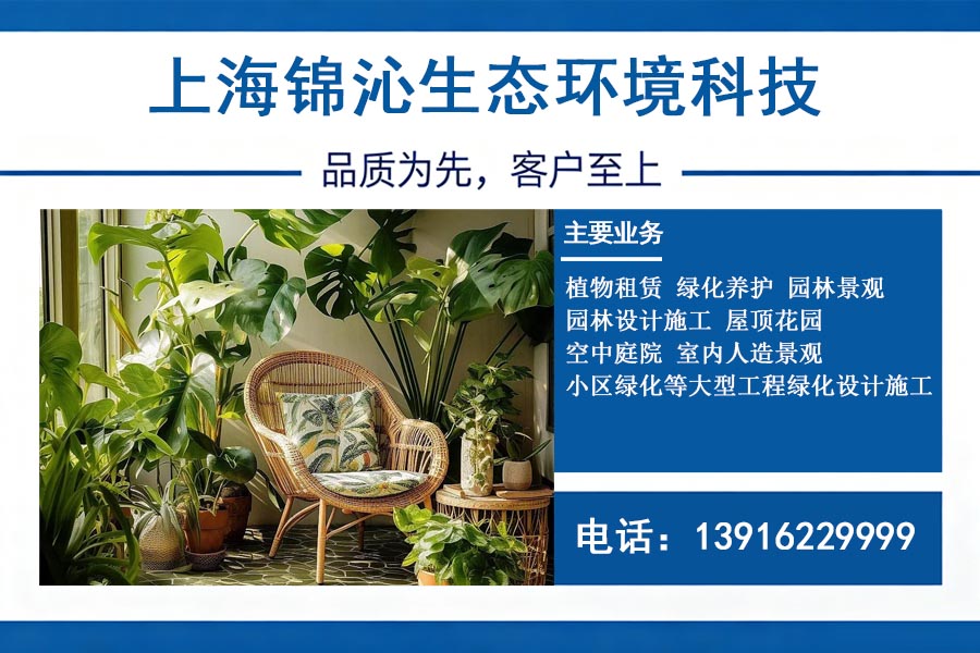 锦沁生态